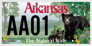 Game and Fish Black Bear License Plate