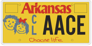 Choose Life License Plate